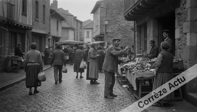 Affiche de : Salon du Livre de la Châtaigne